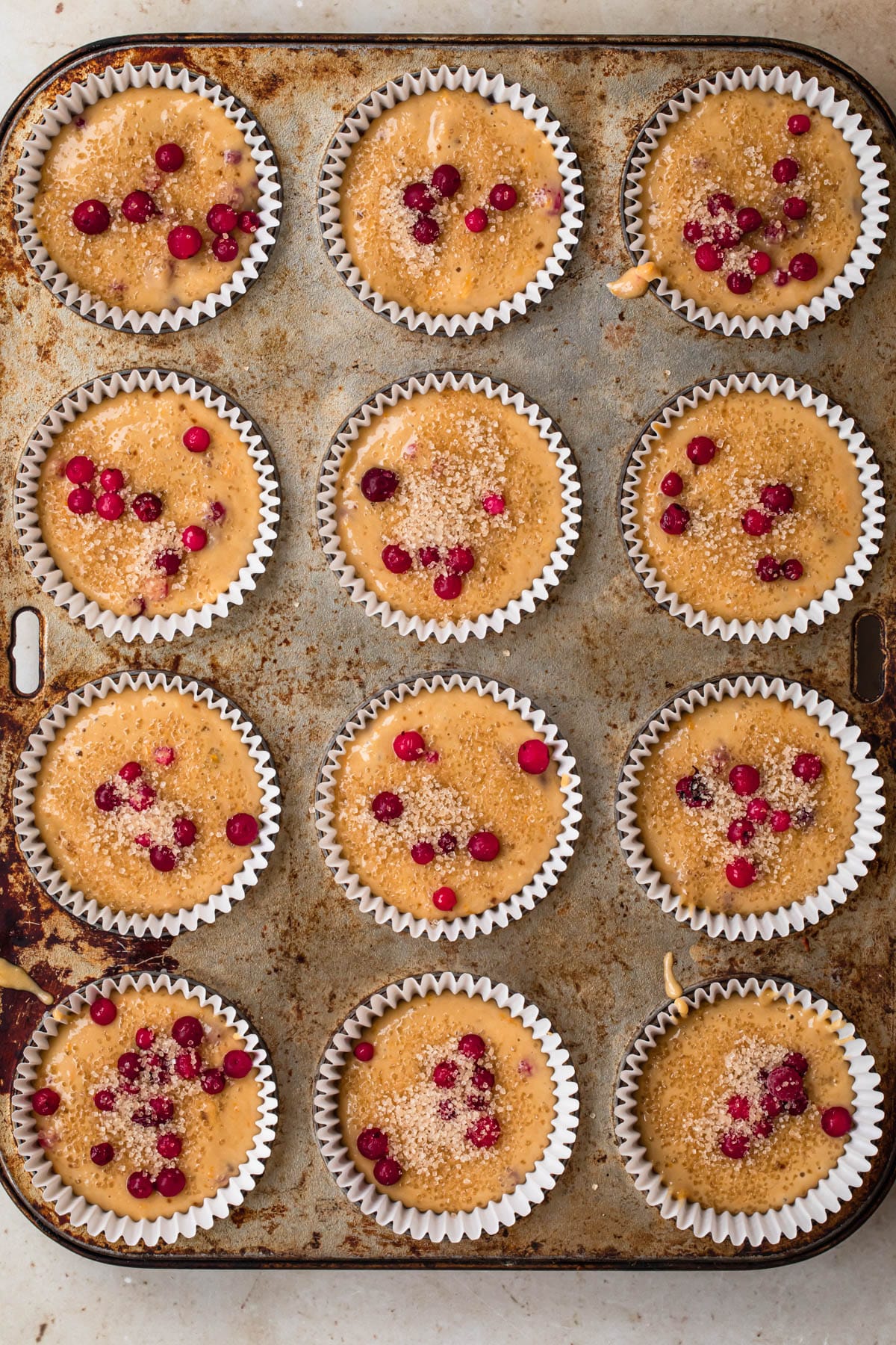 Orange cranberry muffin batter evenly scooped into cupcake papers, topped with extra cranberries and raw sugar.
