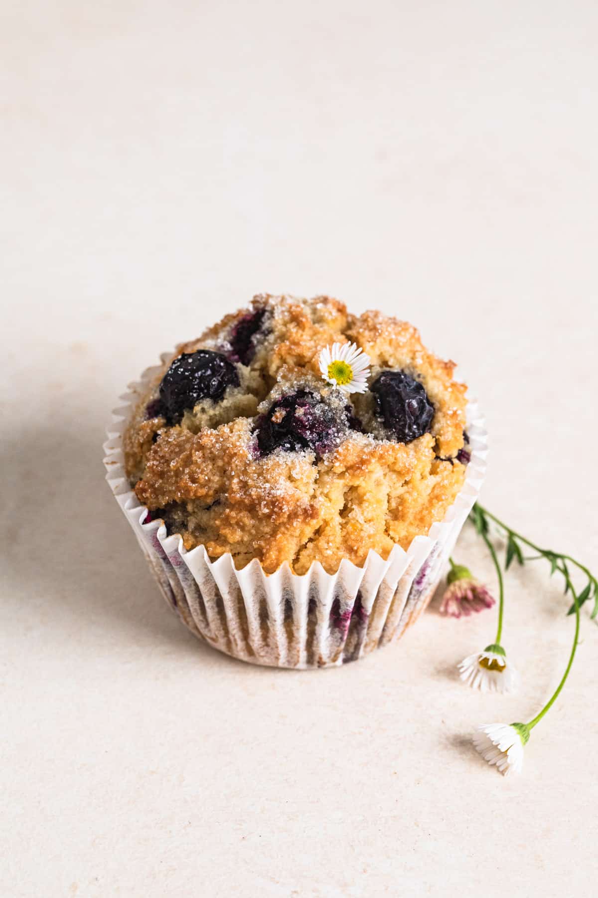 One Lemon Blueberry Gluten Free Muffin on a peach backdrop with a daisy on top of the muffin.