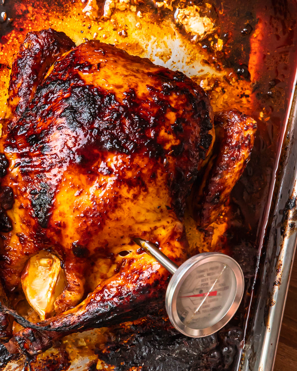 Close up of harissa roast chicken with meat thermometer inserted into the breast.