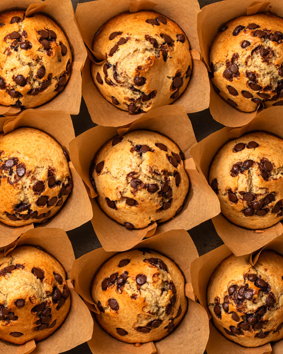 Close photo of protein choc chip muffins in a baking tray.